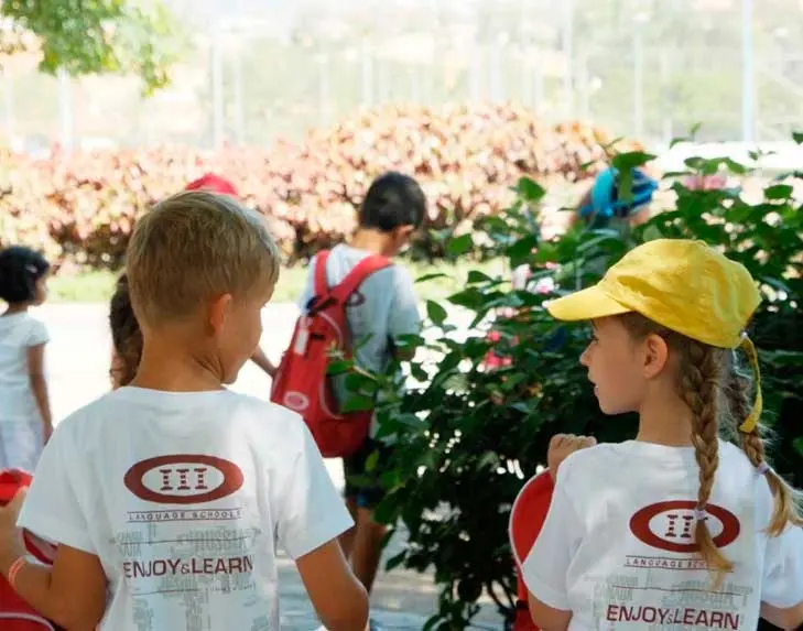 Folleto del campamento de verano bilingüe